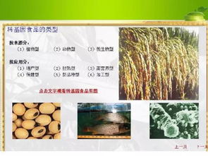 農業部強化轉基因作物監管，筑牢種子市場安全防線